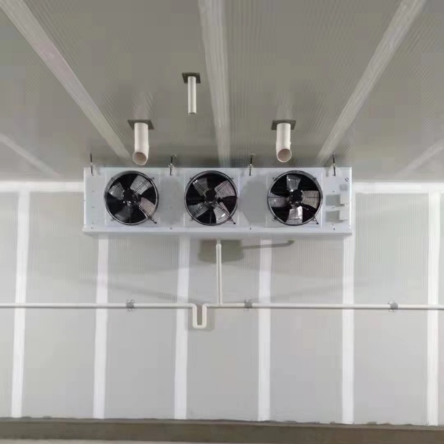 1773281753403700.jpg 71e5e7db9f825ecab2e6433503b0815_副本.jpg